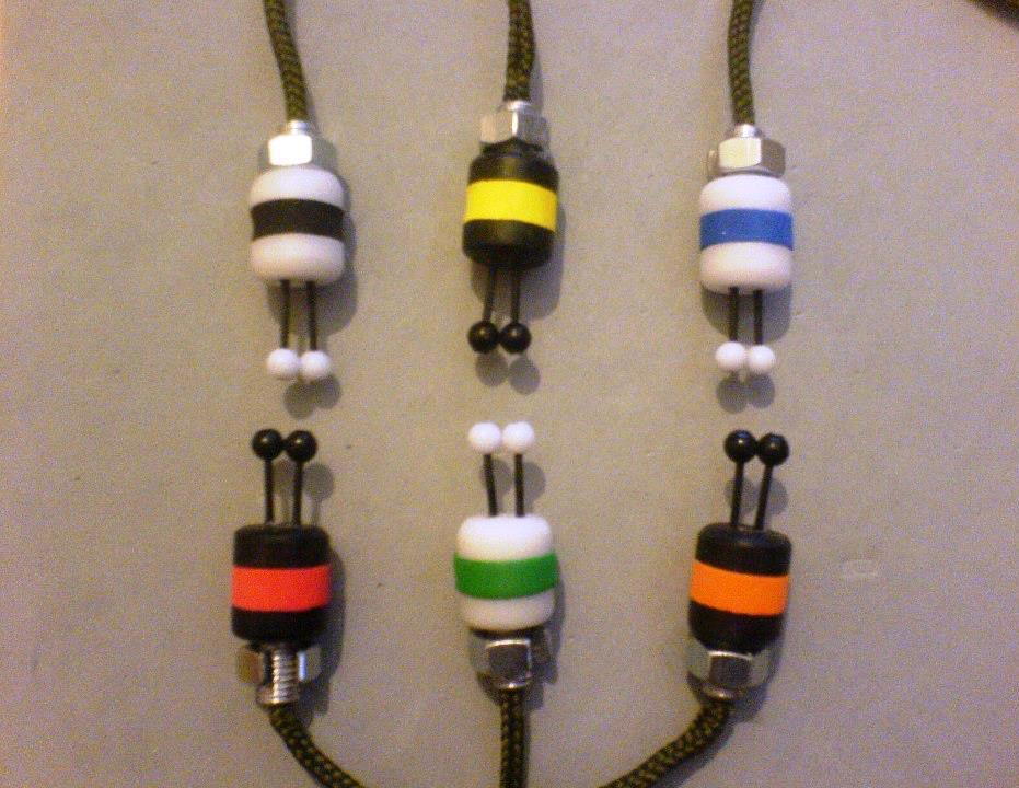 CARP Technology - 299146182375221910791547398595n.jpg